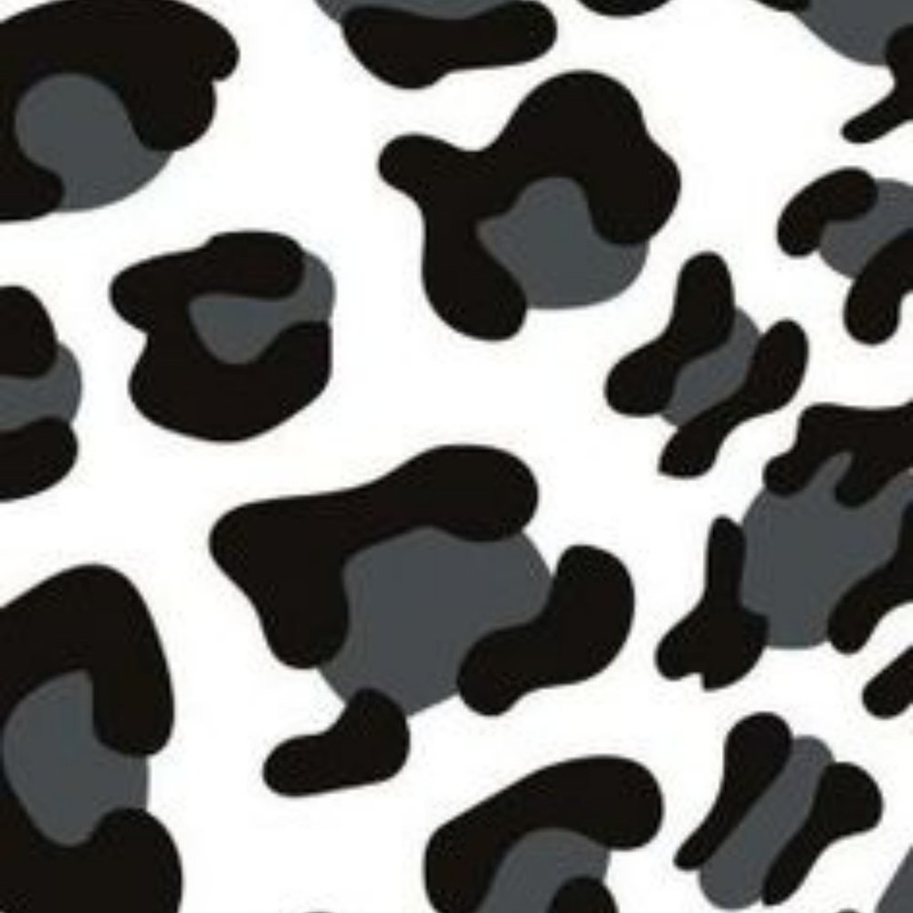 Meet your Posher, Dollie